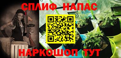 a pvp Гусев
