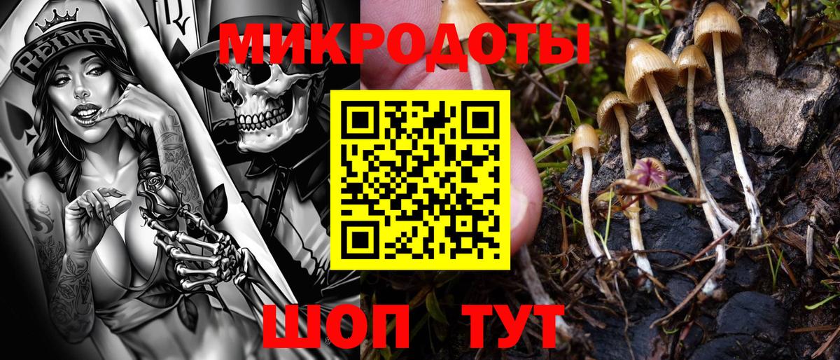 Галлюциногенные грибы прущие грибы  Вход с VPN  Малгобек 